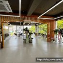 포레스트모가 이미지