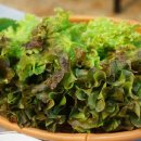 큰바다회수산 - 평택시 부용로31번길 9-9 | 큰바다회수산