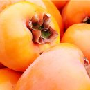 건양유통 이미지