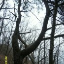 동막농장 이미지