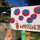 홍시먹으러곶감