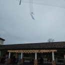 신송로 | 세종 베어트리파크 | 14개월 아기랑 방문 후기(카페, 레스토랑까지)