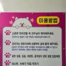 콩이랜드 이미지