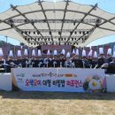 봉화송이축제 티스토리