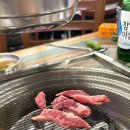 우당탕탕 첫블로그^^;