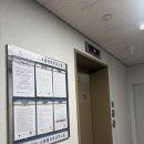 백암순대여의도63점 | 여의도 | 농민백암순대 여의도 주차 순대정식 본점과 비교후기