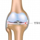 ATP GYM 이미지