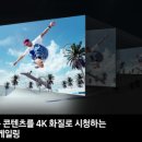 (주)코코넥스