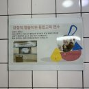 해맑은아동발달연구소 | 언어가 느린 아이,울산 해맑은 아동발달센터 언어치료 상담후기