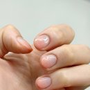 네일러그 이미지