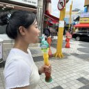 변정환농장 | 폼 미쳤다 ~ | 속초, 강릉, 고성 | 바다, 라벤더농장, 강릉 아르떼뮤지엄 | 감자옹심이, 엄지네포장마차...