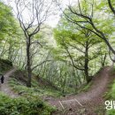 옥천동 9-5 이미지