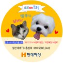 러비도기 이미지