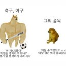 아시안게임 대만전 열받구려 이미지