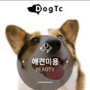 신촌시스터즈 이미지