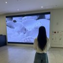MMCA 론뮤익 전시 이번주 막차 예매 관람 후기 at 국립현대미술관 서울