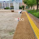 부흥중학교 이미지