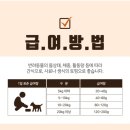 펫츠플레이트 이미지