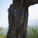 포레스트힐C.C 이미지