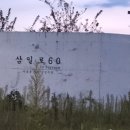 강원도 횡성군 횡성읍 삼일로 이미지