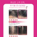 파인유통 | 원장이 직접 쓰는 제품만 팝니다 🤍 쁘띠꾸아 홈케어 공간 꾸아팩토리 오픈 — 파인앰플펜 솔직 후기