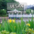 호수공원 2주차장옆 | 울산 선암호수공원 산책 야경 예쁜 데이트 코스 주차장 꿀팁