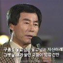 마도로스박