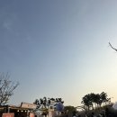 하나로뉴푸드 네이버블로그