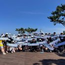 청춘바다 이미지