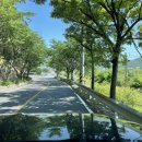 진사민박 이미지