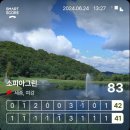 소피아힐링