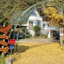 꿀벌아 고마워 공인중개사사무소 이미지