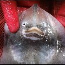 수협다대회센터 이미지