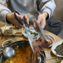 화산곰장어 이미지