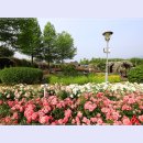 곡성-065 이미지