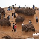 금광지질