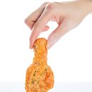 순수동물병원
