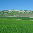 대서양메디칼 이미지