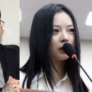 "50억 받고 힘들다니"..틴탑 출신 유투버, 국감 나간 하니 저격 이미지