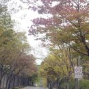 창신대학교 부동산대학원 이미지