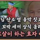 부모님-산소-옆-움막-짓고-꼬박-꼬박-세끼-상식-올리며-시묘살이-하는-효자-아들 이미지