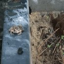 두꺼비 PC방 이미지