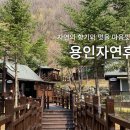 초부매점