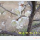 완도농장 이미지