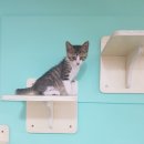 태성동물병원 이미지