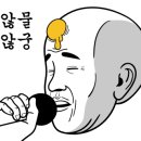 피트샾 이미지