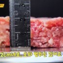 테네버거 이미지