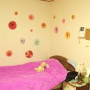 갈마초등학교 이미지