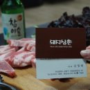 돼지 삼촌 이미지