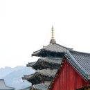 법주사 - 경상북도 군위군 | 법주사